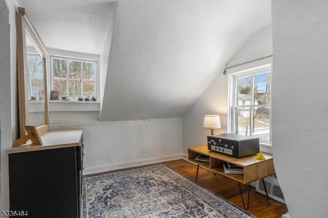 additional living space featuring hardwood / wood-style flooring, lofted ceiling, and a wealth of natural light