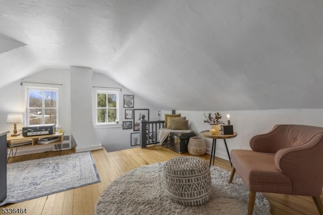 living area featuring wood-type flooring and vaulted ceiling