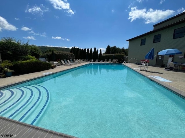 view of swimming pool with a patio area