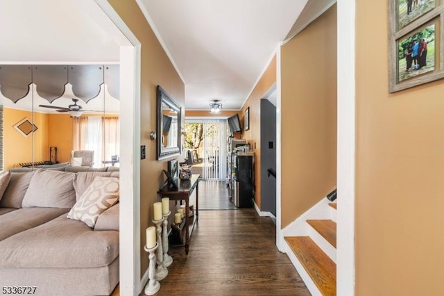 hall featuring dark hardwood / wood-style flooring