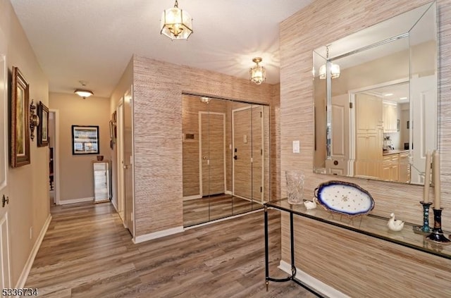 hall featuring wood-type flooring