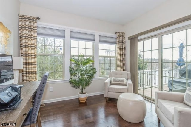 living area with dark hardwood / wood-style floors