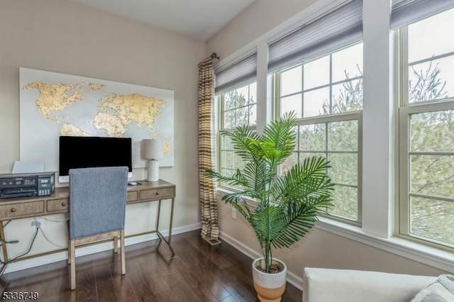 office with dark hardwood / wood-style floors