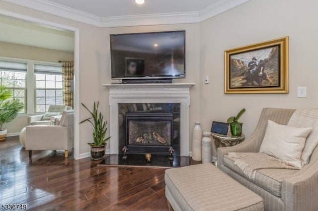 living area featuring crown molding and dark hardwood / wood-style floors