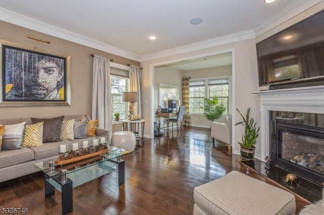 living room with a fireplace, plenty of natural light, ornamental molding, and dark hardwood / wood-style floors