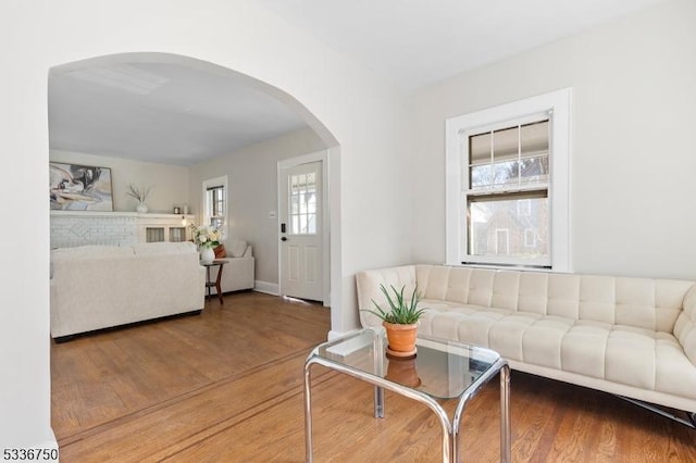 living room featuring hardwood / wood-style floors