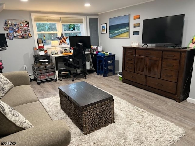 living room with crown molding and light wood-type flooring