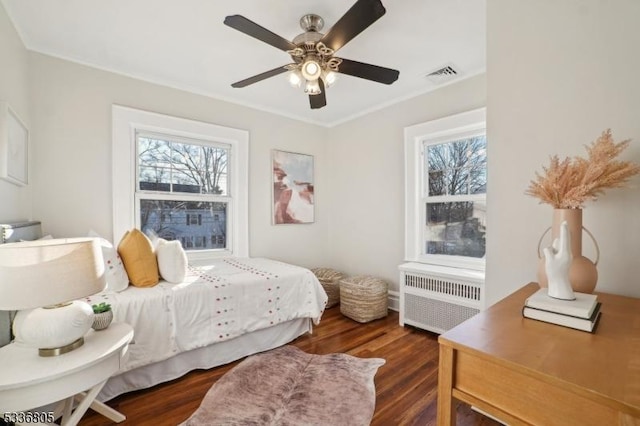 bedroom with multiple windows, radiator, and dark hardwood / wood-style flooring