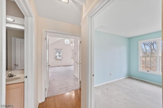 hallway featuring light carpet and sink