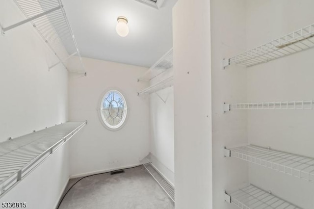 spacious closet featuring carpet