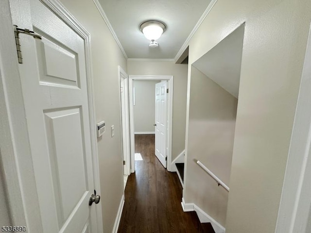 hall with crown molding and dark hardwood / wood-style floors