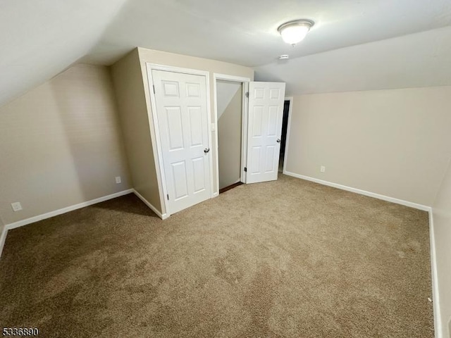 additional living space with lofted ceiling and carpet floors