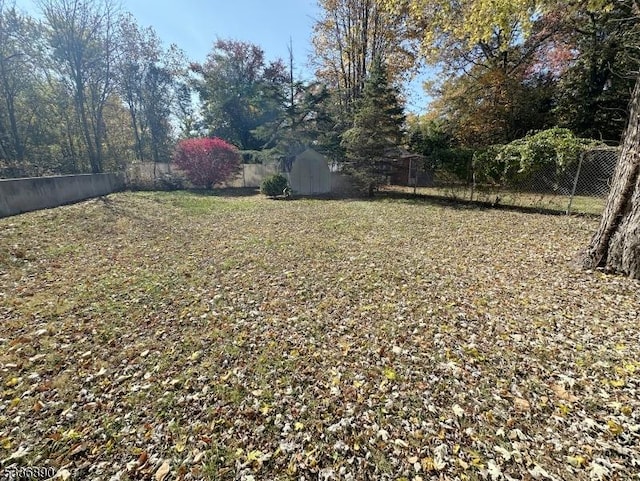 view of yard featuring a storage unit