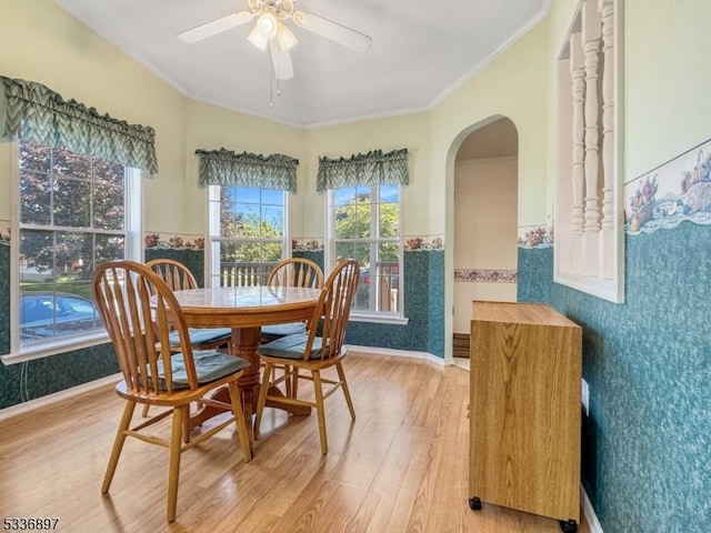 dining space featuring ornamental molding, ceiling fan, and light wood-type flooring