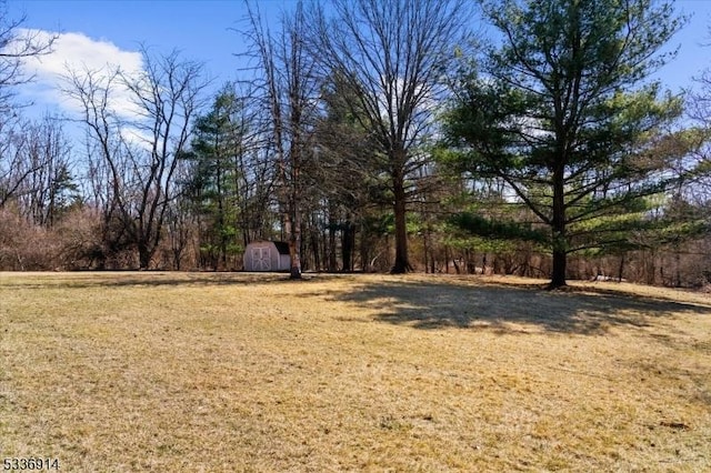 view of yard with an outbuilding and a storage shed