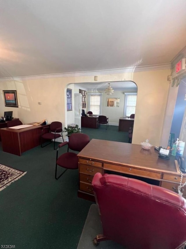 office area featuring crown molding and dark carpet