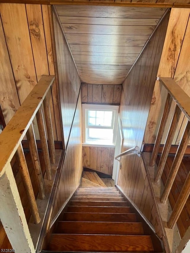 staircase with wood-type flooring, wood ceiling, and wood walls