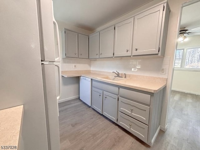 kitchen featuring sink, white appliances, gray cabinets, and light hardwood / wood-style floors