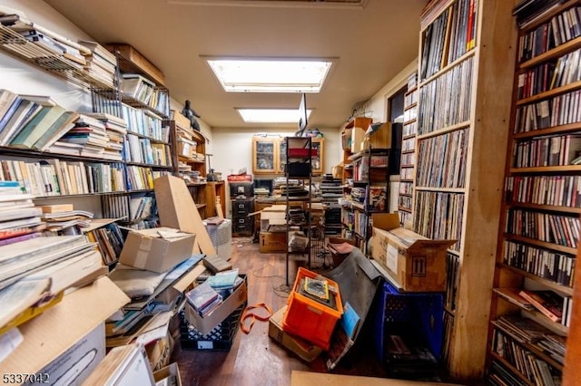 storage featuring a skylight