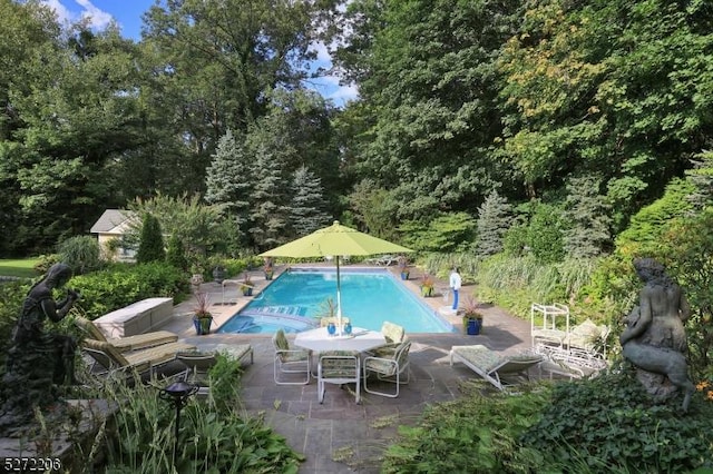 view of pool featuring a patio