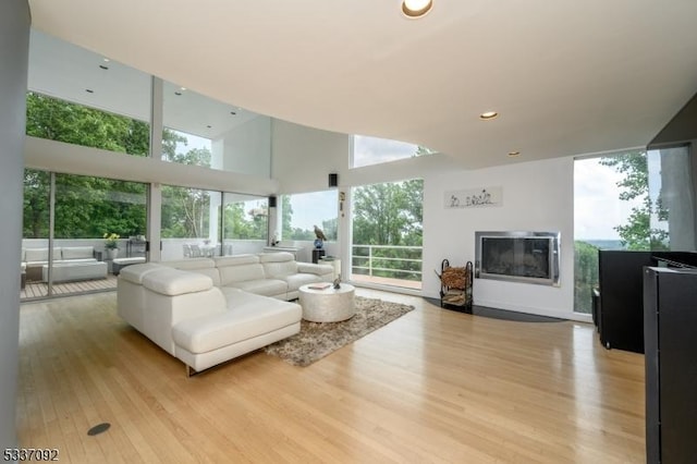 living room featuring a towering ceiling, a wealth of natural light, and light wood-type flooring