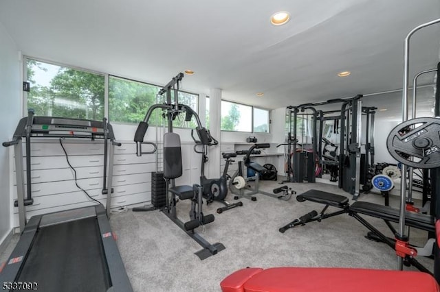 workout area with carpet flooring