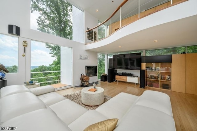 living room with a high ceiling and light hardwood / wood-style flooring