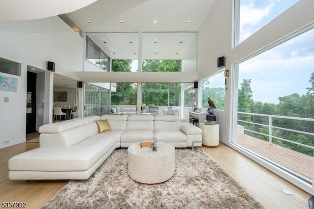 living room with hardwood / wood-style flooring and a high ceiling