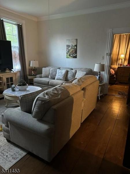 living room featuring crown molding and dark hardwood / wood-style flooring