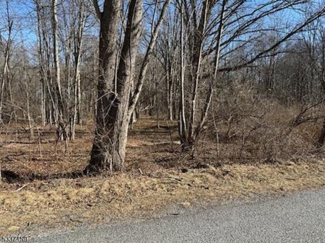 00 Decker Rd, Wantage Twp NJ, 07461 land for sale