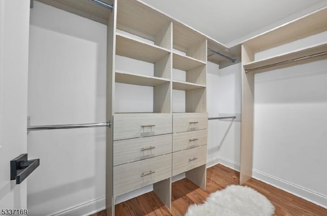 walk in closet with dark wood-type flooring