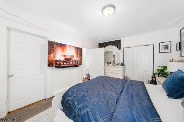 bedroom with hardwood / wood-style floors and a closet