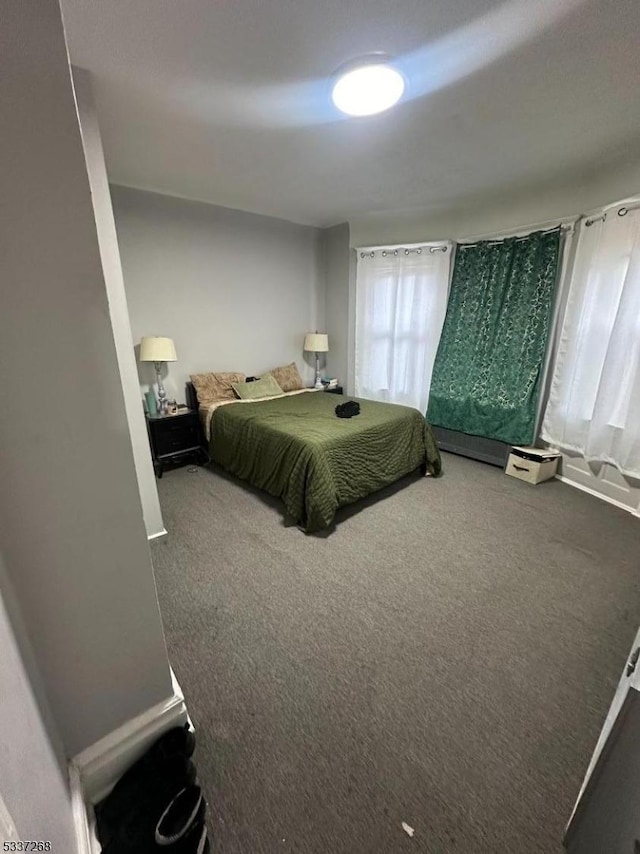 bedroom featuring carpet