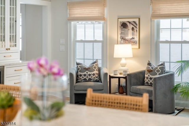 sitting room featuring plenty of natural light