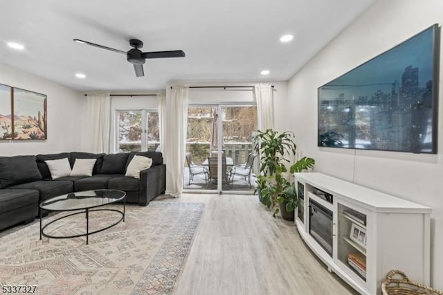 living room with ceiling fan and light wood-type flooring