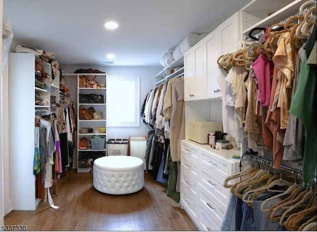 walk in closet with hardwood / wood-style floors