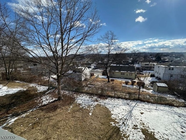 view of snowy yard