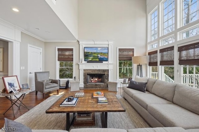 living area with a high ceiling, crown molding, a premium fireplace, and wood finished floors