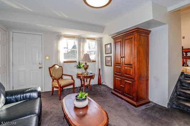 living area featuring dark colored carpet