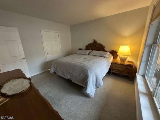 bedroom with carpet flooring