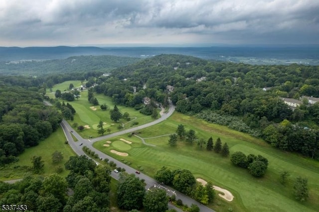 drone / aerial view