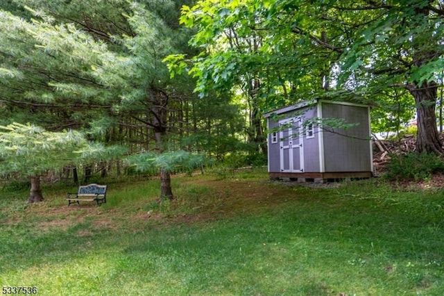 view of yard featuring a storage unit