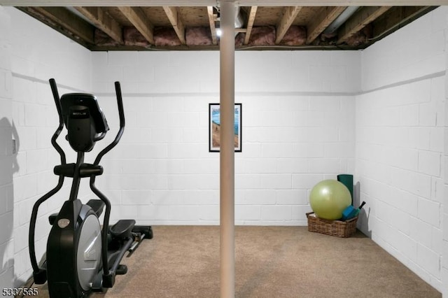 exercise area featuring carpet floors