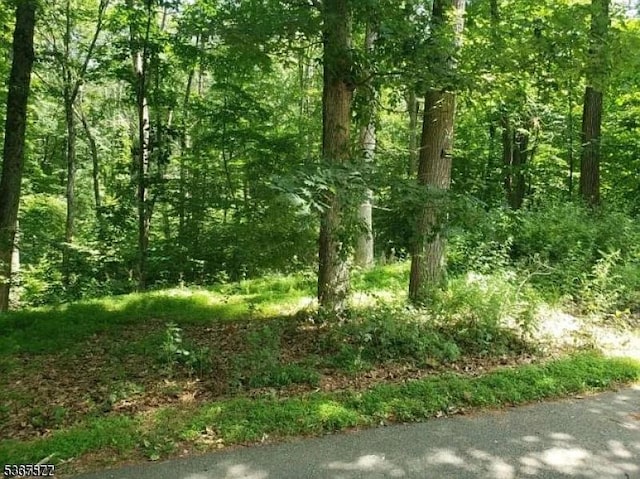 8 Cub Lake Rd, Byram Twp NJ, 07821 land for sale