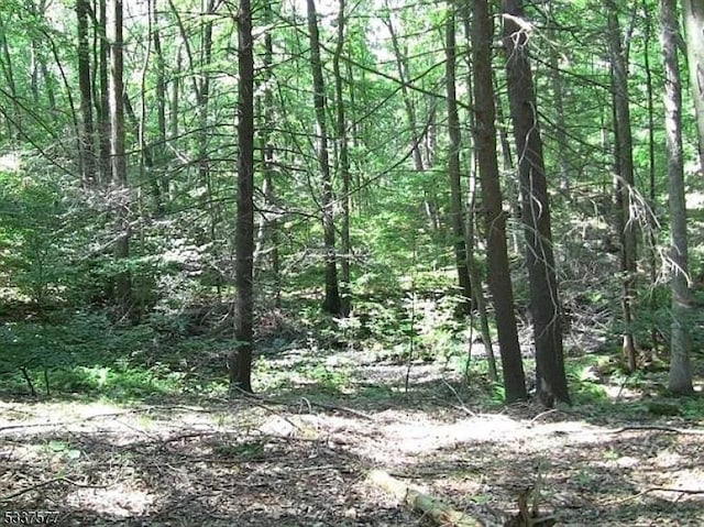 Listing photo 3 for 8 Cub Lake Rd, Byram Twp NJ 07821