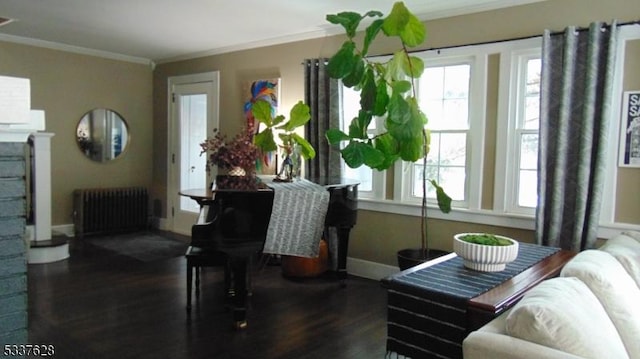 living area with radiator heating unit, wood finished floors, baseboards, and ornamental molding