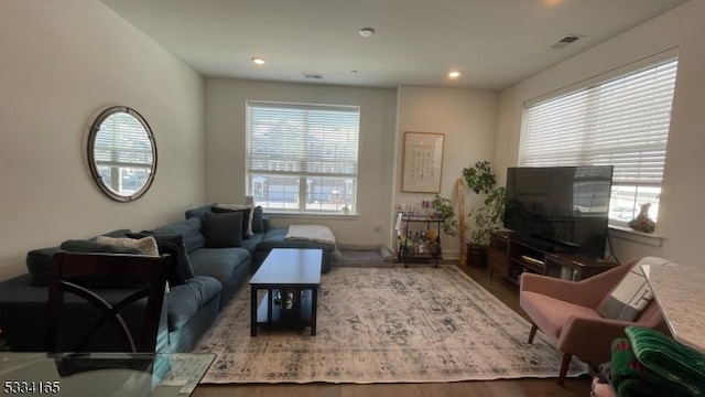 living room featuring hardwood / wood-style floors and a healthy amount of sunlight