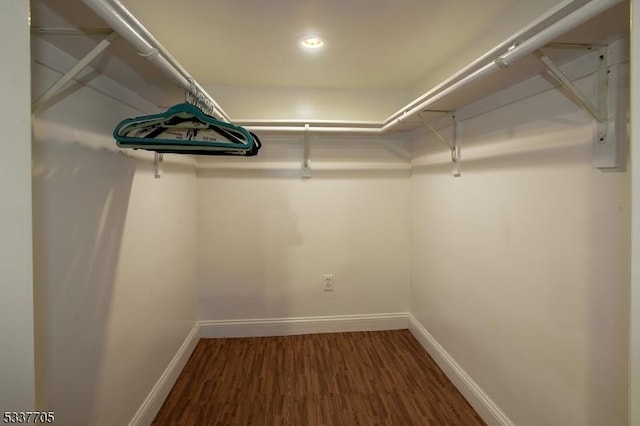 walk in closet with dark hardwood / wood-style floors