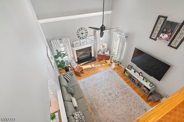 living area featuring ceiling fan, a premium fireplace, a high ceiling, and wood finished floors