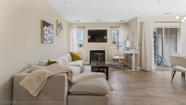 living room featuring hardwood / wood-style flooring